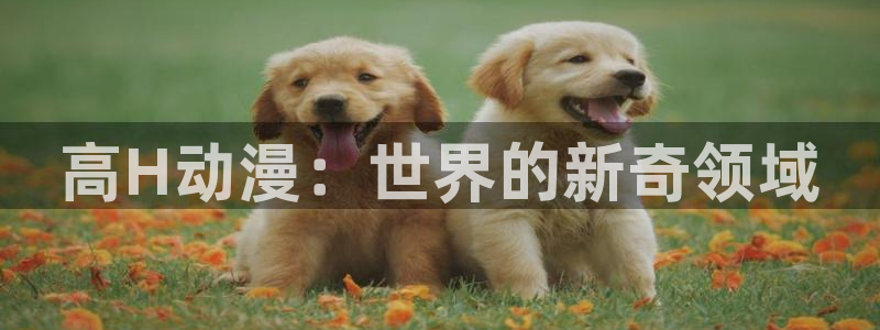 动漫火狼动漫网：高H动漫：世界的新奇领域