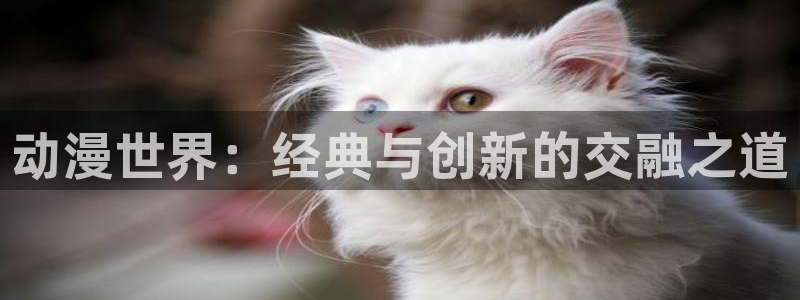 动漫火狼动漫网免费