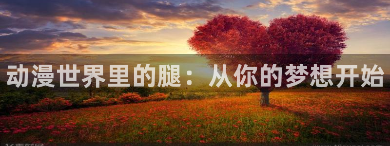 火狼动漫网：动漫世界里的腿：从你的梦想开始