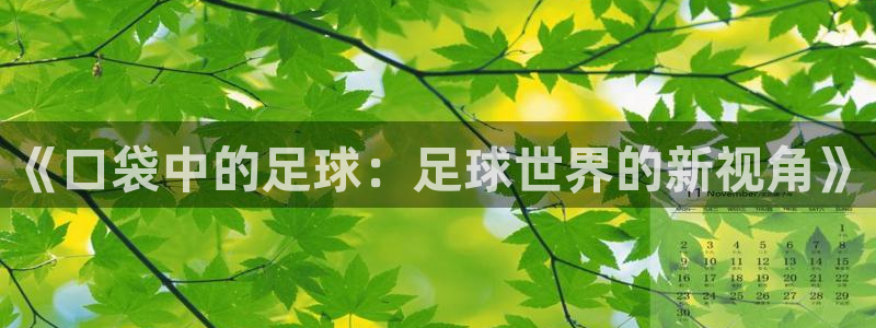 火狼动漫网站在线观看：《口袋中的足球：足球世界的新视角》
